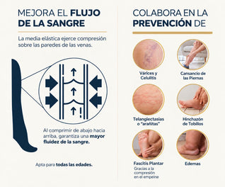 Compresión Diaria