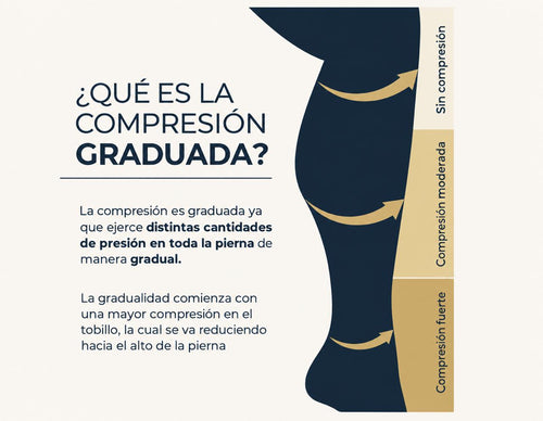 Compresión Diaria